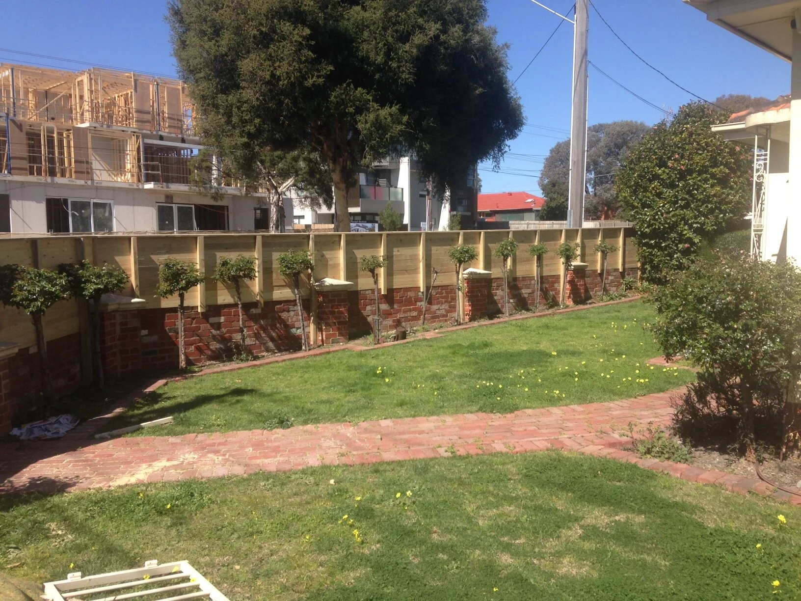 Tall timber fence with lattice top and hedge Doncaster